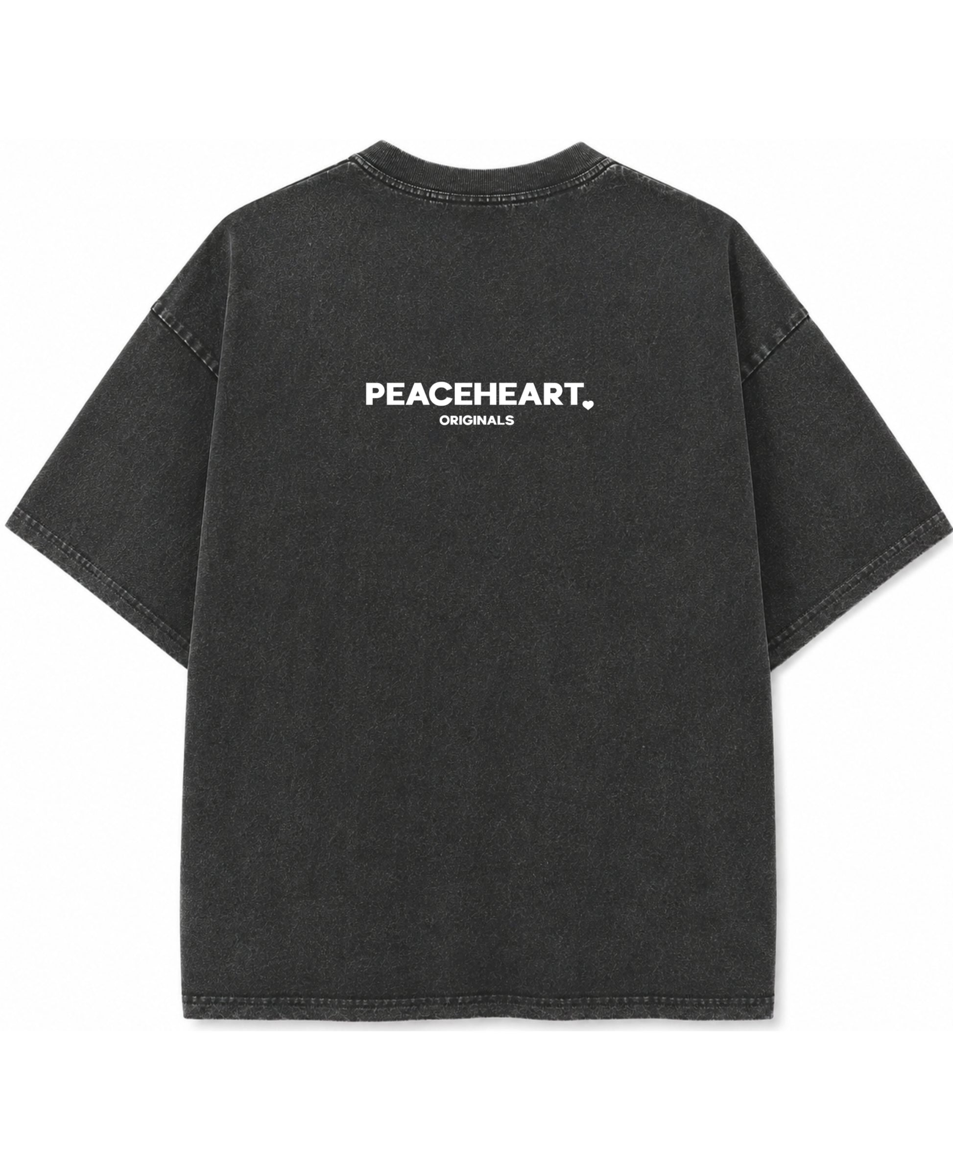 Vintage Fade Wash Oversized T-shirt Back Design